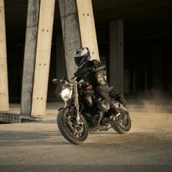 R 1250 R Roadster R 1250 R Roadster